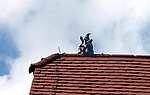 Harlekin auf dem Dach